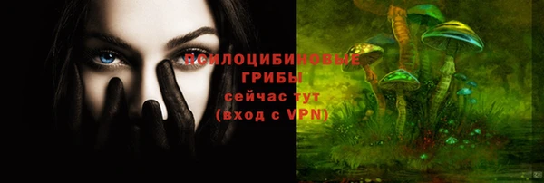 ECSTASY Алексеевка