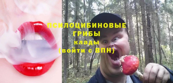 молекула духа Алзамай